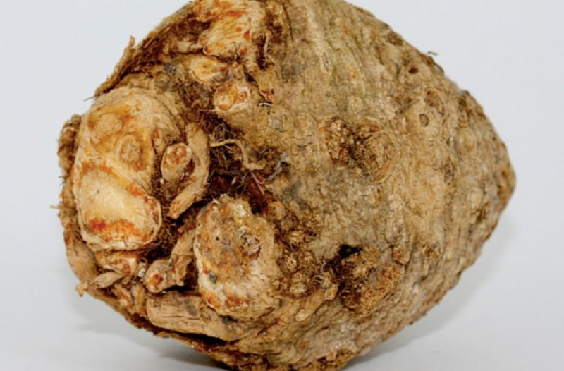 деликатесы