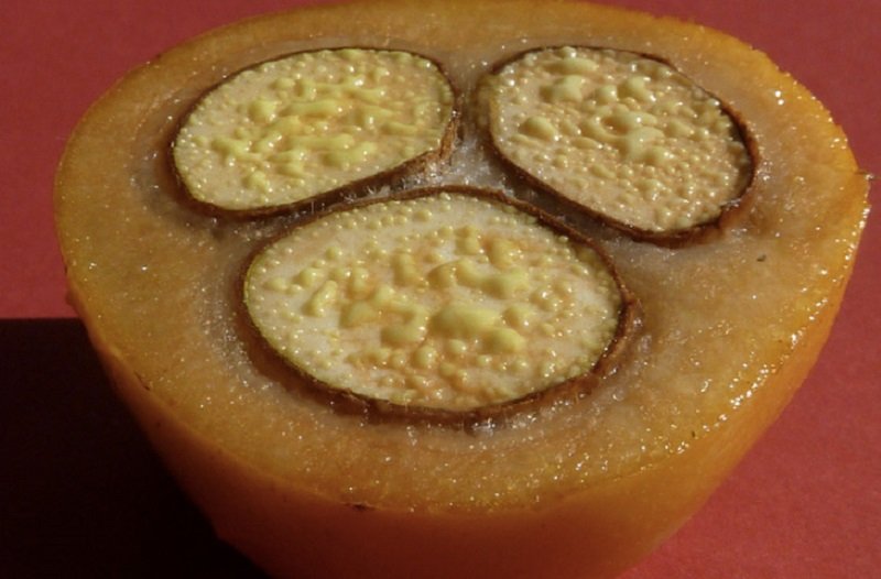 деликатесы