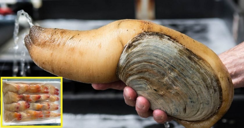 деликатесы