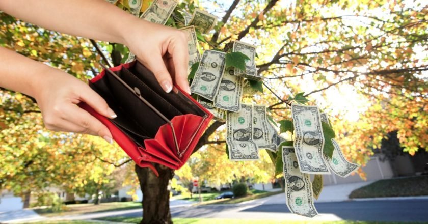 денежное число