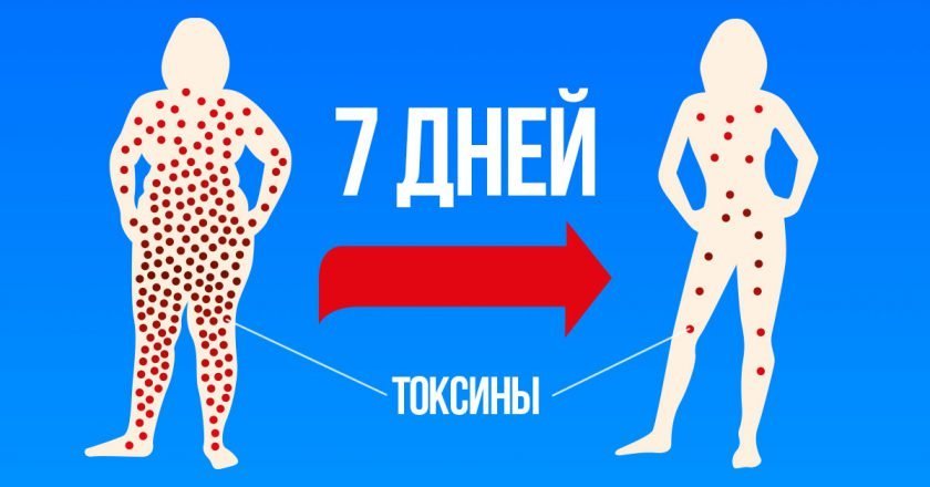 детоксикация организма
