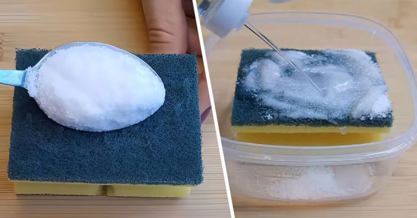 дезинфекция губки