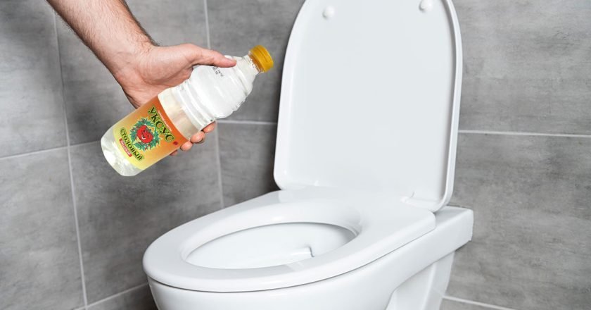 дезинфектор для унитаза