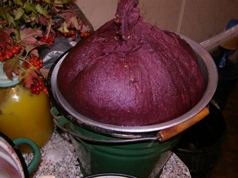 домашнее виноградное вино