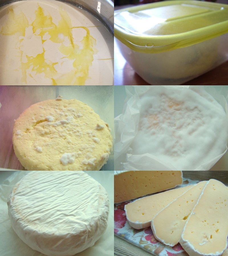 Домашние сыры