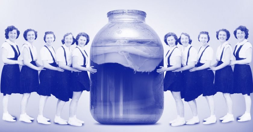 польза чайного гриба