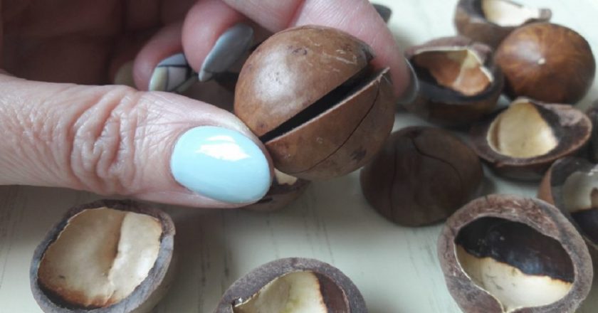 Макадамия польза