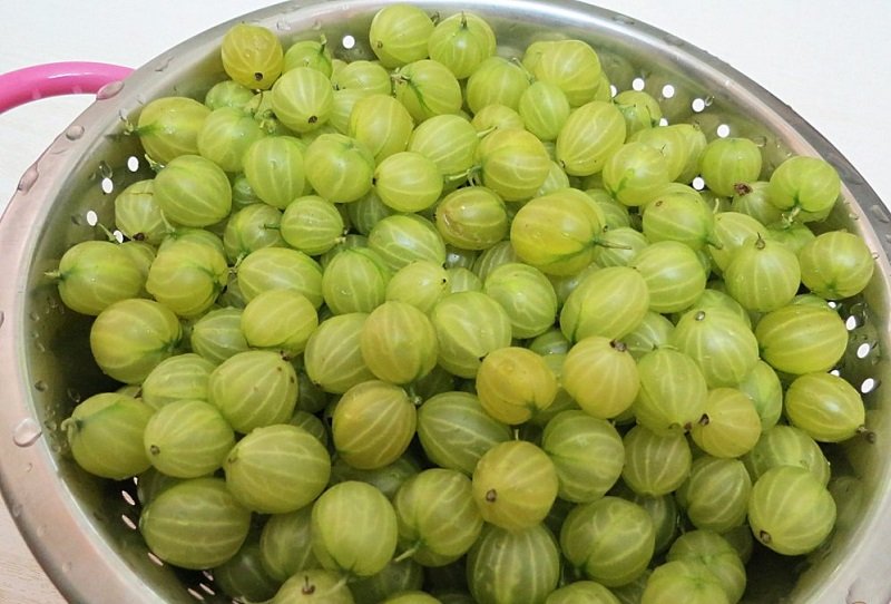 водолей питание