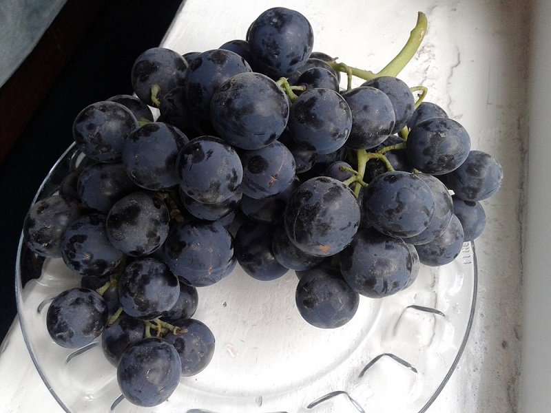 рыбы питание