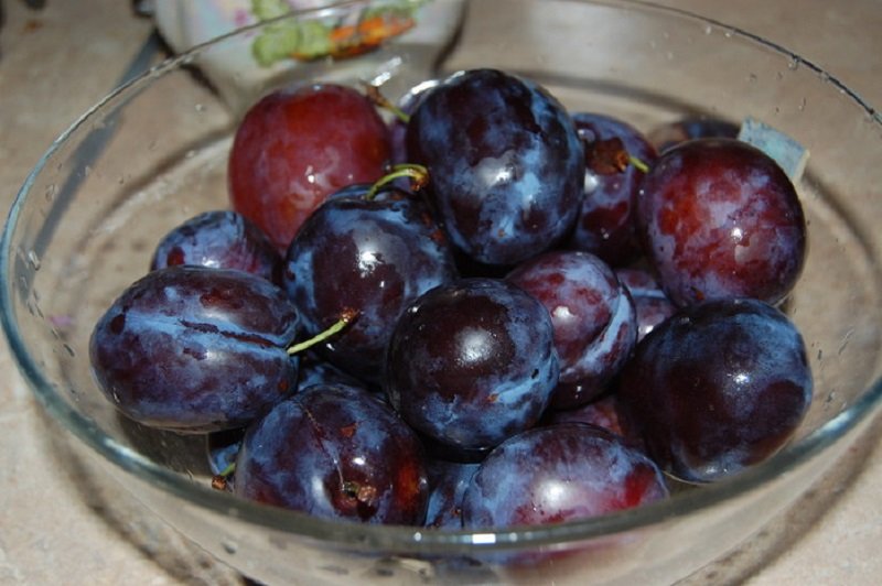 близнецы питание