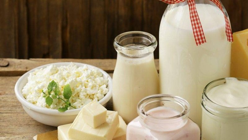 рак питание