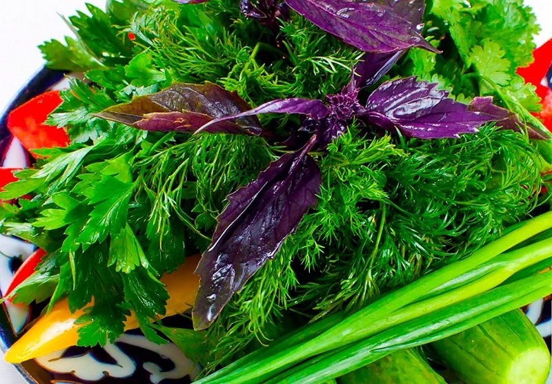 лев питание