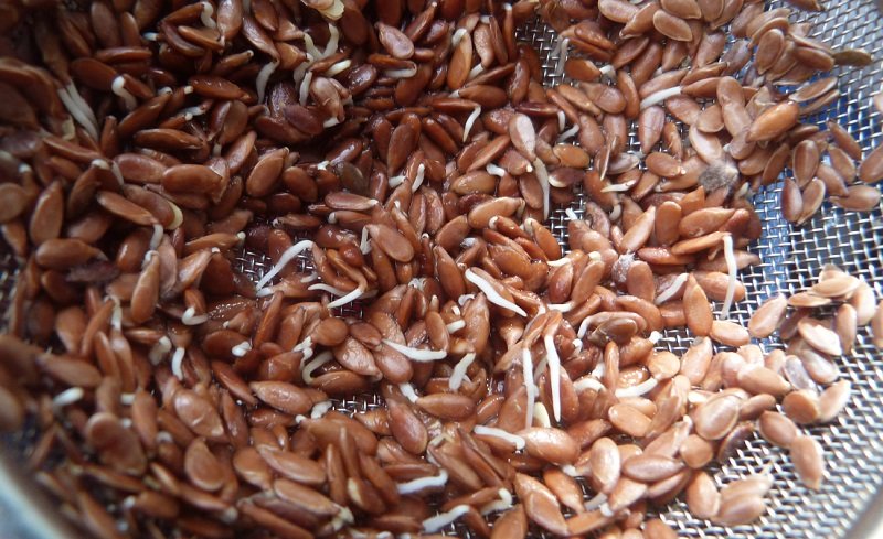 эффективное слабительное