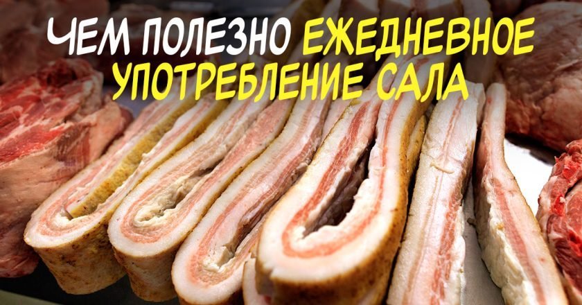 есть сало каждый день