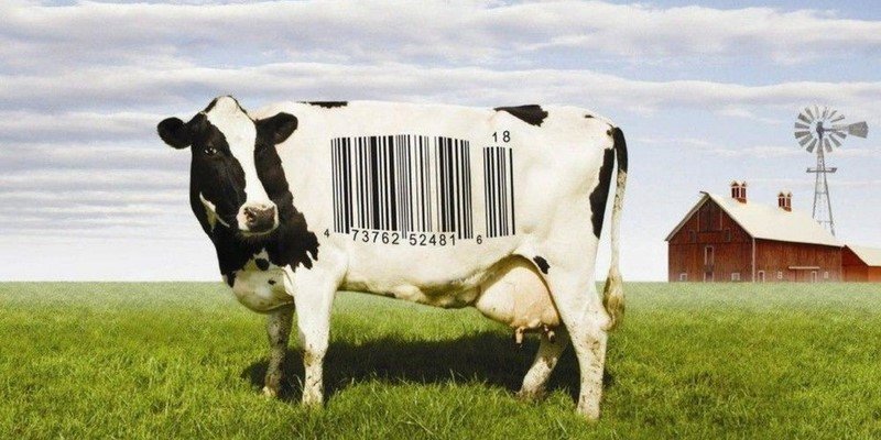 Документальные фильмы о еде