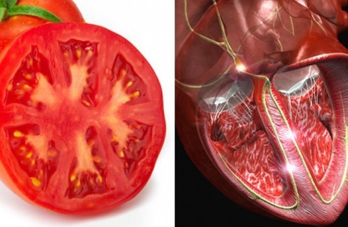 Форма продуктов и их польза