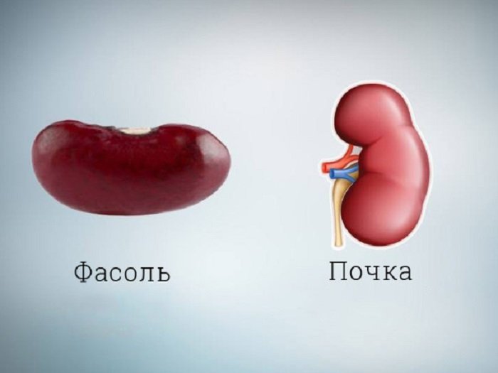Форма продуктов и их польза