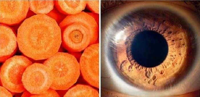 Форма продуктов и их польза