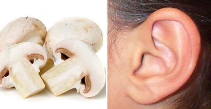 Форма продуктов и их польза