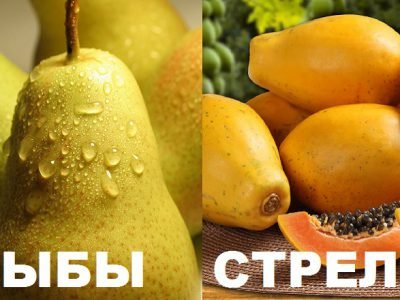 Фрукт по знаку зодиака