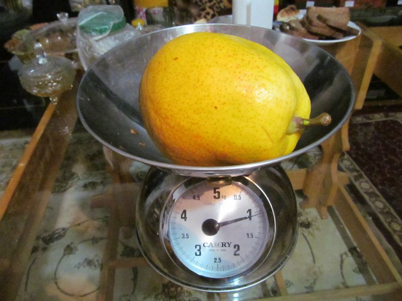 необычные фрукты и ягоды