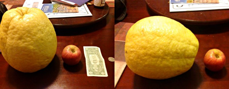 необычные фрукты и ягоды