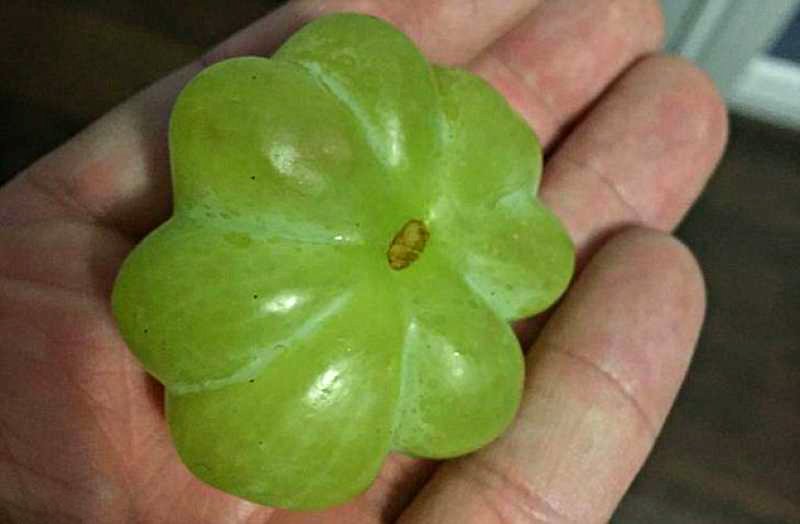 необычные фрукты и ягоды