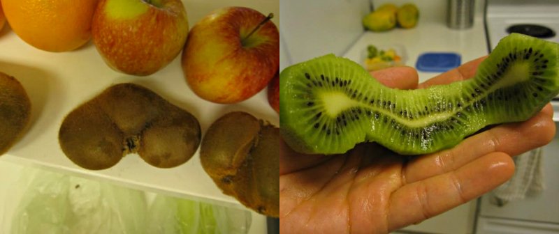 необычные фрукты и ягоды