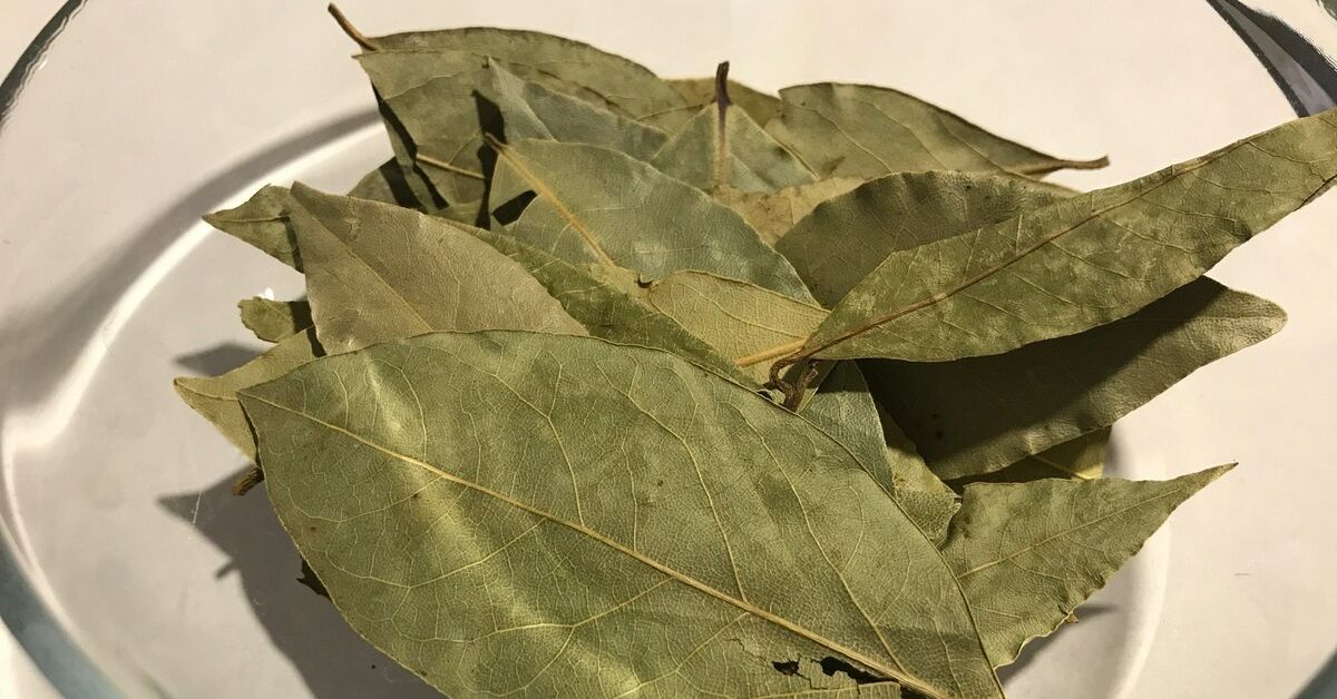 жечь лавровый лист