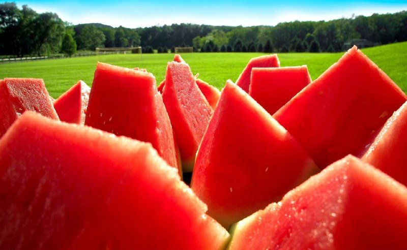 Генно-модифицированные продукты