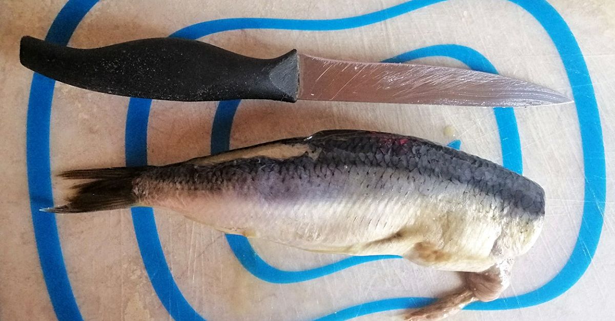 как засолить селедку