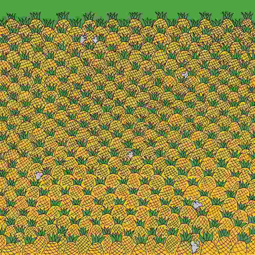 головоломки с фруктами