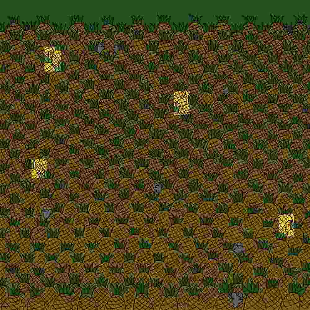 головоломки с фруктами