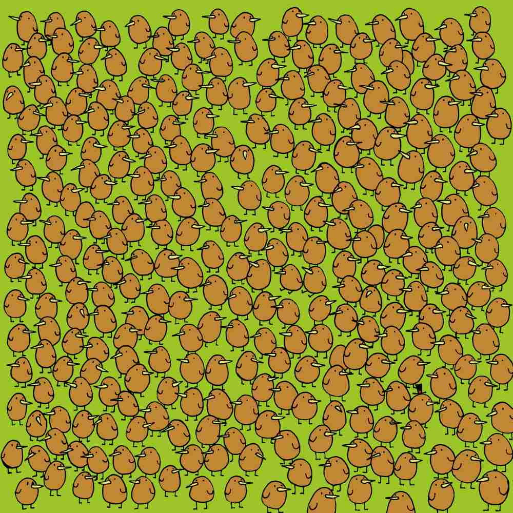 головоломки с фруктами