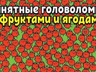 Красочные головоломки с фруктами и ягодами