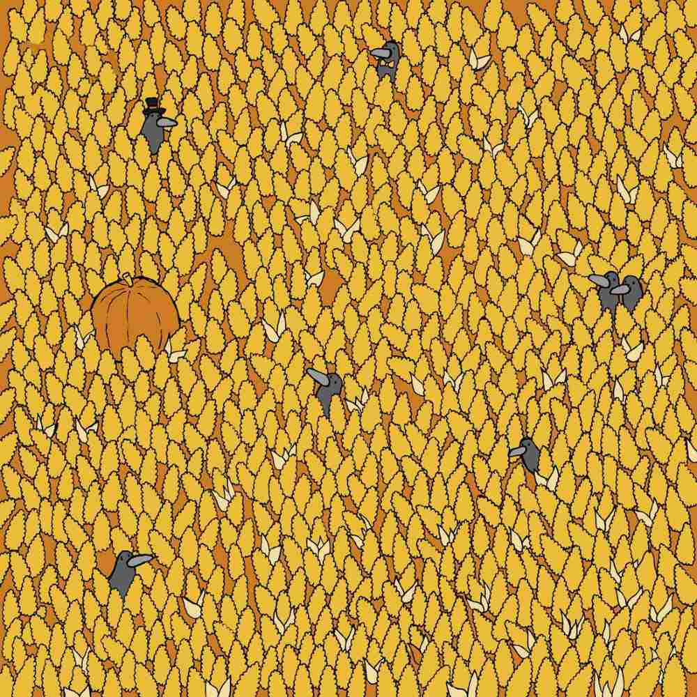 головоломки