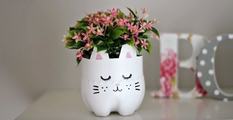 mačka vázy