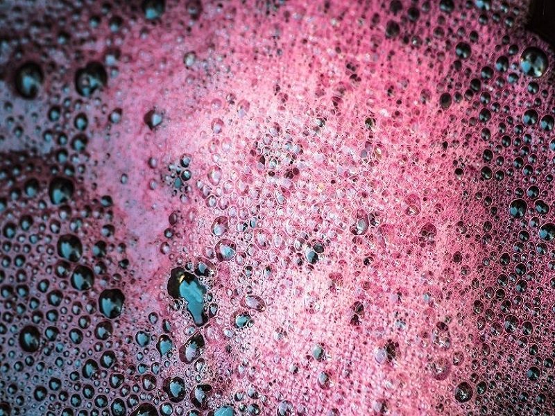 овощ в форме руки