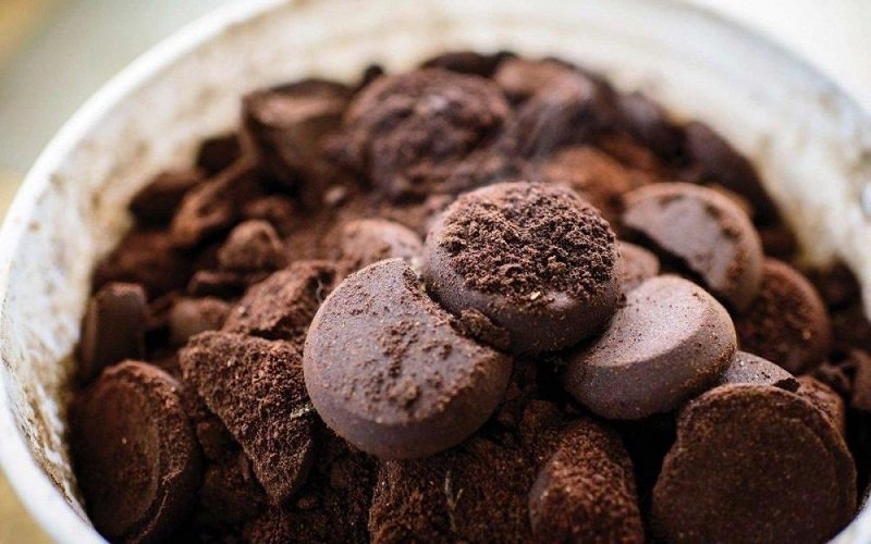 грибы на кофейной гуще