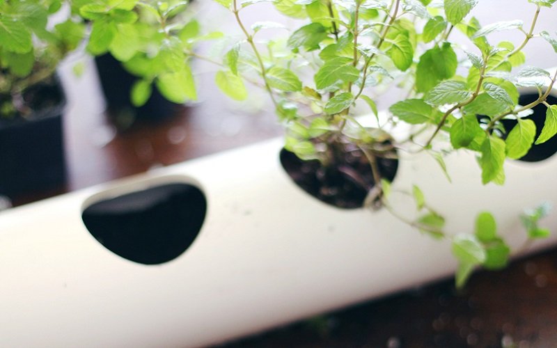 как сделать грядку из трубы ПВХ