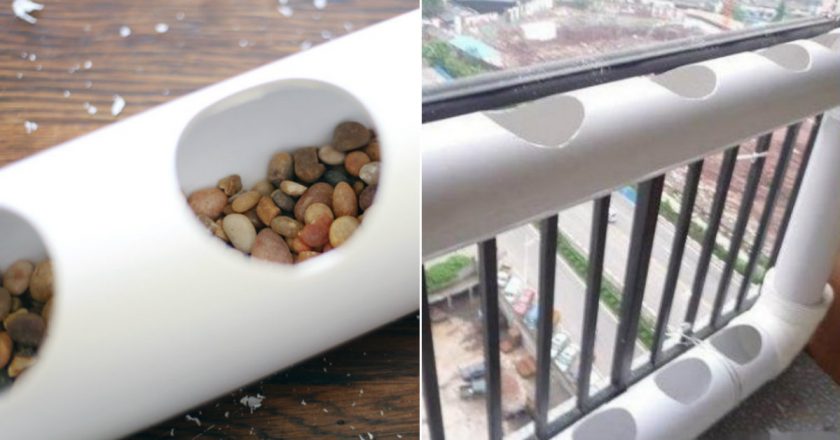 грядки из пластиковых труб