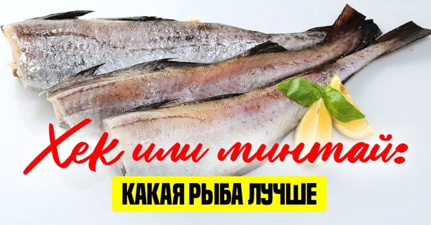 хек или минтай