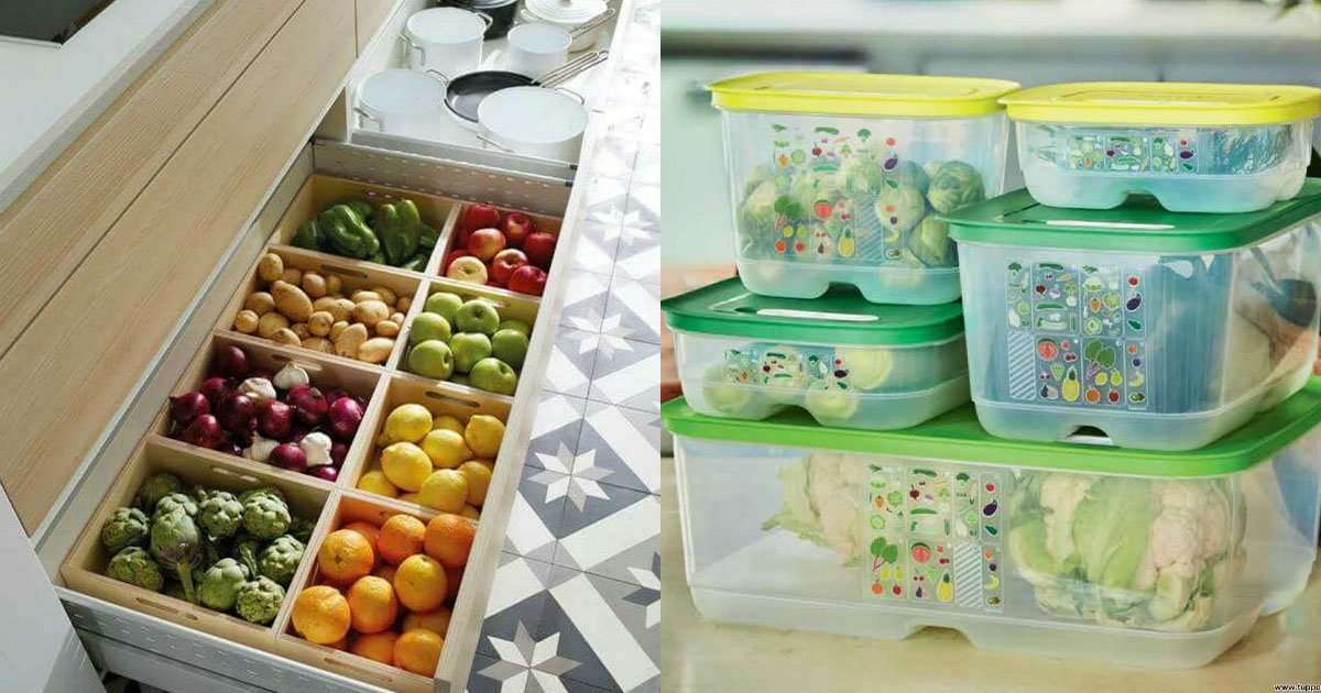 контейнеры и ящики для хранения овощей и фруктов