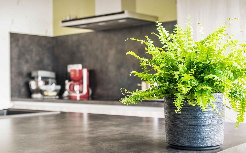 светлая кухня фото