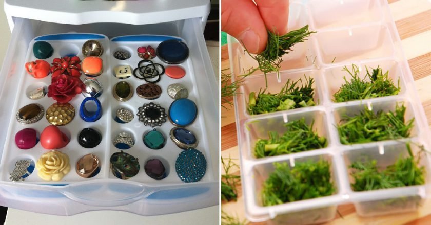 Идеи по использованию лотков для льда