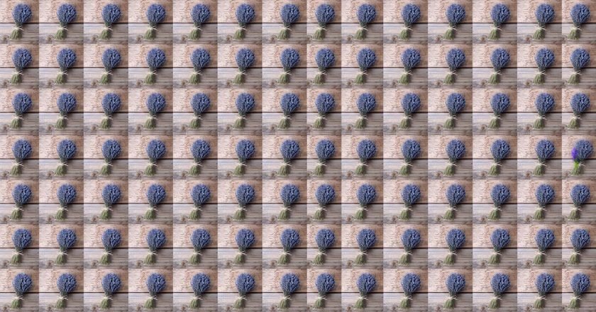 игра на внимательность