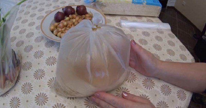 зелень в пакете с воздухом изображение