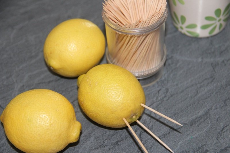 зубочистка в лимоне фото