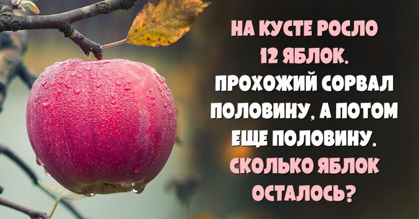 задачи на логику