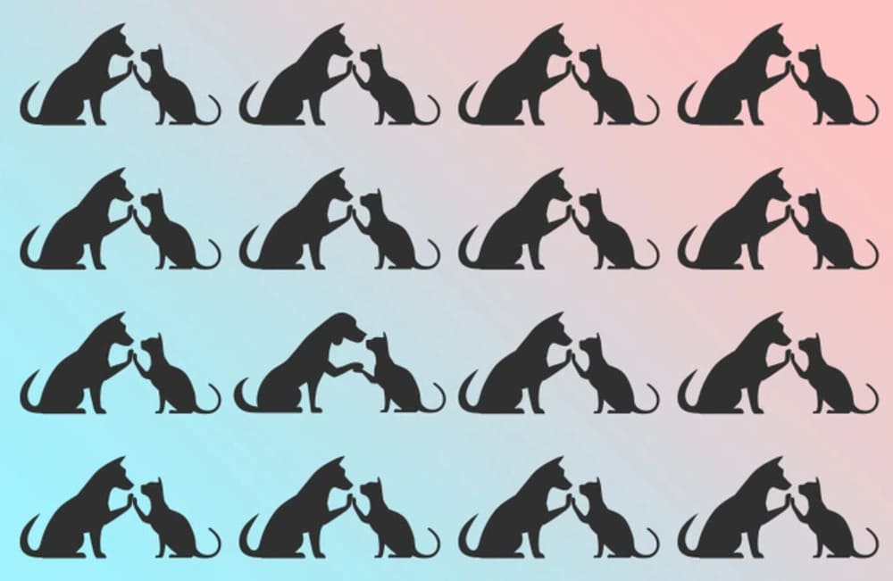 интересный тест на внимательность